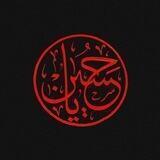 عشاق الحسين «؏»
