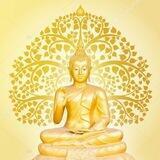 ☸☸ ☸️ පිනිපලසꫂ❮Buddhist ☸️ ☸☸
