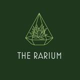 Rarium Network