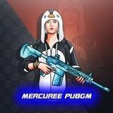MERCUREE_PUBG
