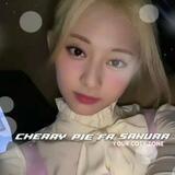 !¡ cherry pie ? 🐈