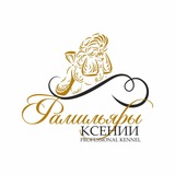 🐩 Щенки той и миниатюрного пуделя🐩