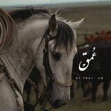 عُـمـق ْ || 𝒅𝒆𝒑𝒕𝒉