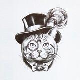 CatsSir中文社区