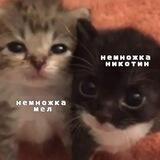 кадзуха>> весь мир