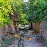 گروه کوچه باغ های بروجرد😍پاریس کوچولو😍دورود،خرم آباد،لرستان،همدان،اراک،تهران،اصفحان،شیراز،همه ایران سرای من است🇮🇷🇮🇷🇮🇷