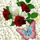 معا نحو التغيير🧚‍♀🧚‍♀