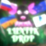 LUNTIK DROP SERVICE