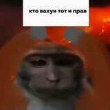 ⋆.° ʙᴀxʏивᴄᴋиᴇ.𝅼