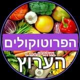 2️⃣הפרוטוקולים🚨