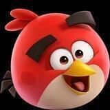 AngryBird Reviews BSC ETH DOGE