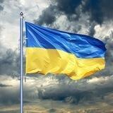 Допомога Волонтерським пунктам Відень