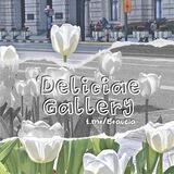 ‘Deliciae Gallery