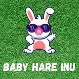 Baby Hare Inu