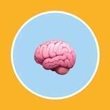 МОЗГ.com