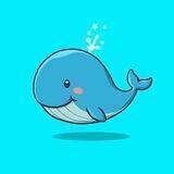 PAUSSSSS 🐳🐳💐💐