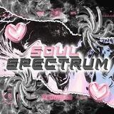 𝐒oul 𝐒pectrum : Open!