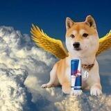 Red Bull Inu