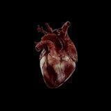 ::bloody coast – channel::
