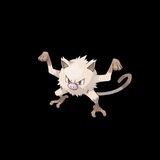Mankeys (Mankey) Entry