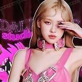 # 🦩‘ D@LL✷RIES ˢᵗᵘᵈᶦᵒ