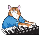 Keyboard Cat Portal