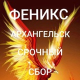 Феникс Архангельск
