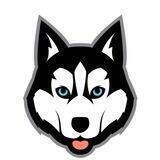 Balto Token Official