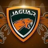 Jaguar Calls