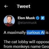 Curious AI | 0 TAX