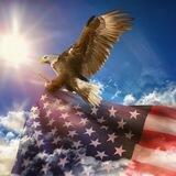 America Against Trafficking Chat
