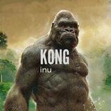 KONG INU
