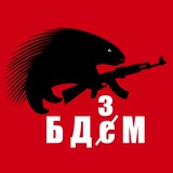 KomandaEx БДзМ🇺🇦