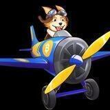 Pilot Doge Shilling Official