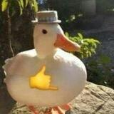 ㅤㅤㅤㅤ