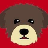 ChiPoo Official