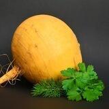 Репки на каждый день
