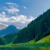 Живая природа