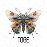 TOGE OFFICIAL