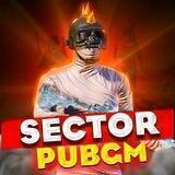 SECTOR PUBGM