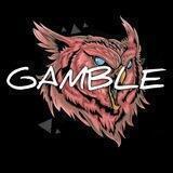 Owl's Gamble