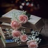 منهج السلف الصالح