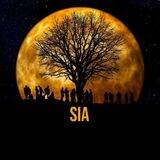 ✨️SOULS IN ACTION - SIA✨️