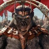 Polemic Movies