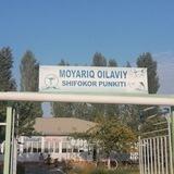 BULOQBOSHI TTB MOYARIQ OSHP