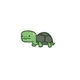 🐢everyday turtle🐢