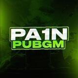 PA1N PUBGM
