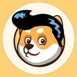 ELVIS DOGE | 6 PM UTC