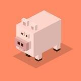 PIG NEWS
