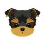 $YORKIE Portal